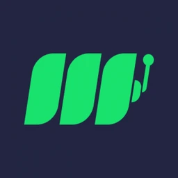 Metaspins — logo